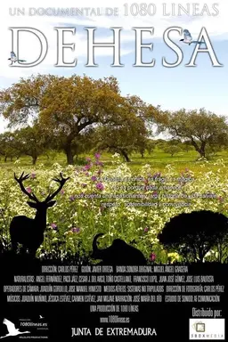 Dehesa