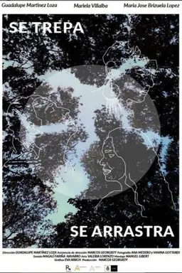 Se trepa, se arrastra