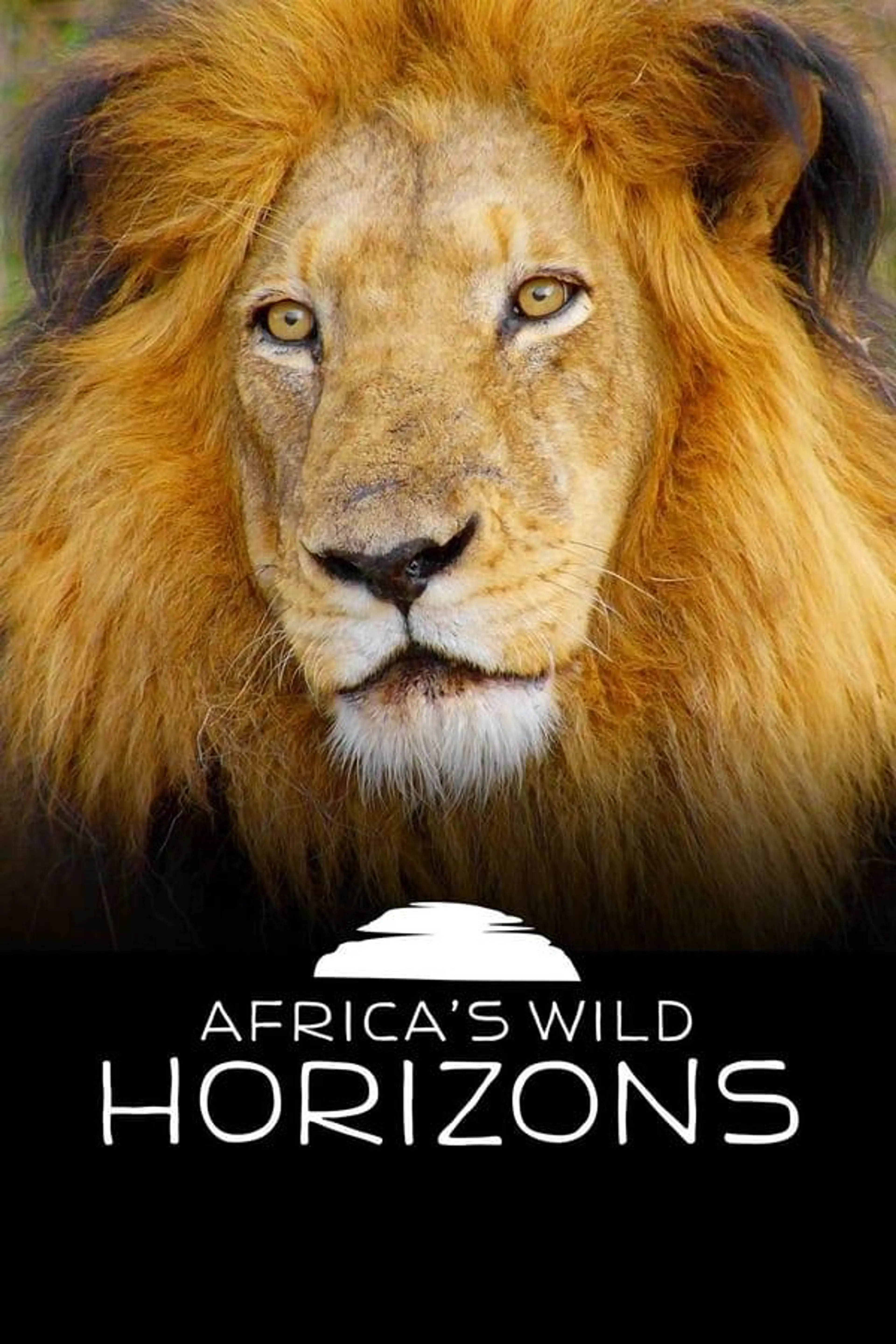 Africa's Wild Horizons Season 1