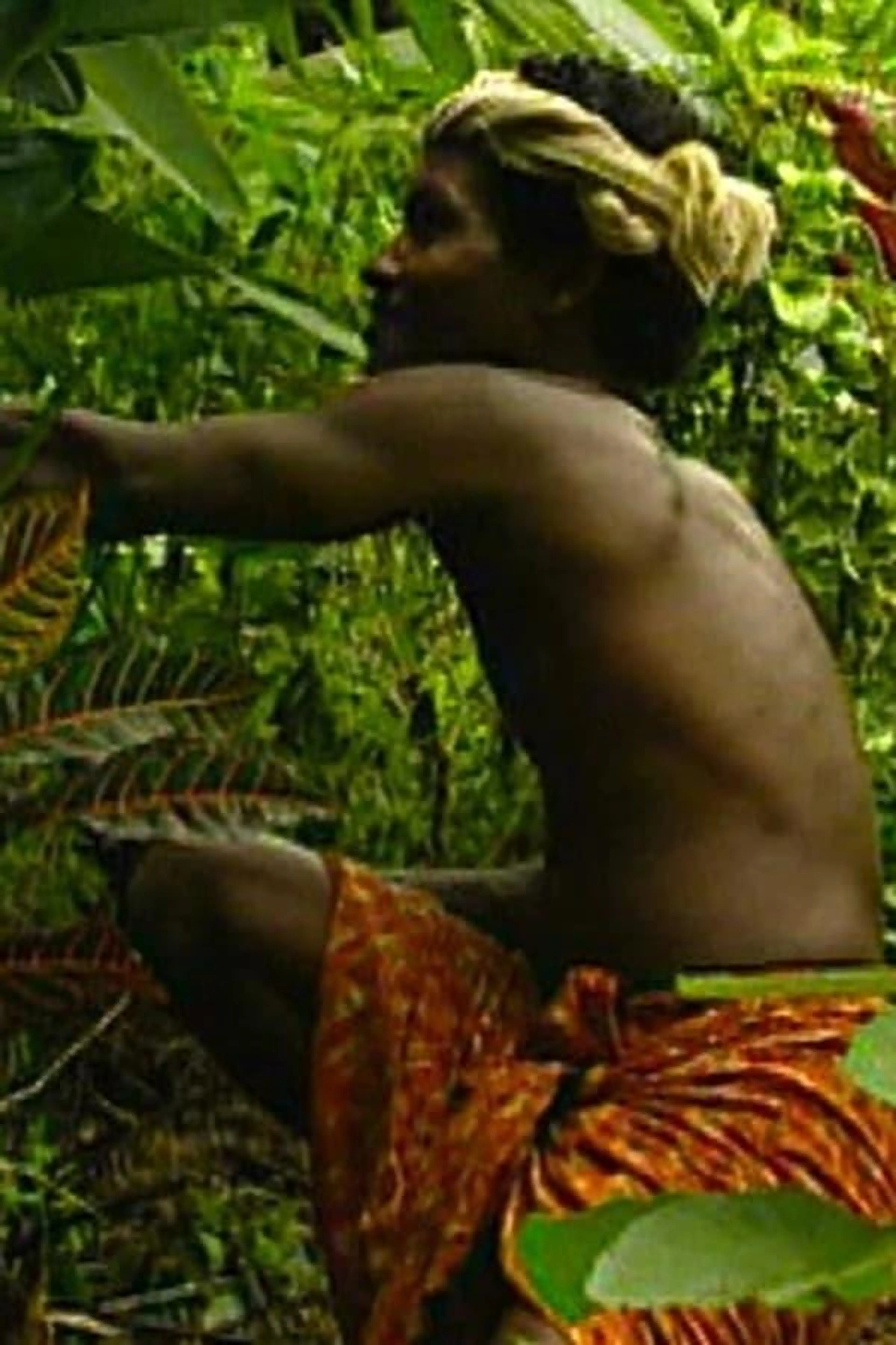 Kalpavriksha