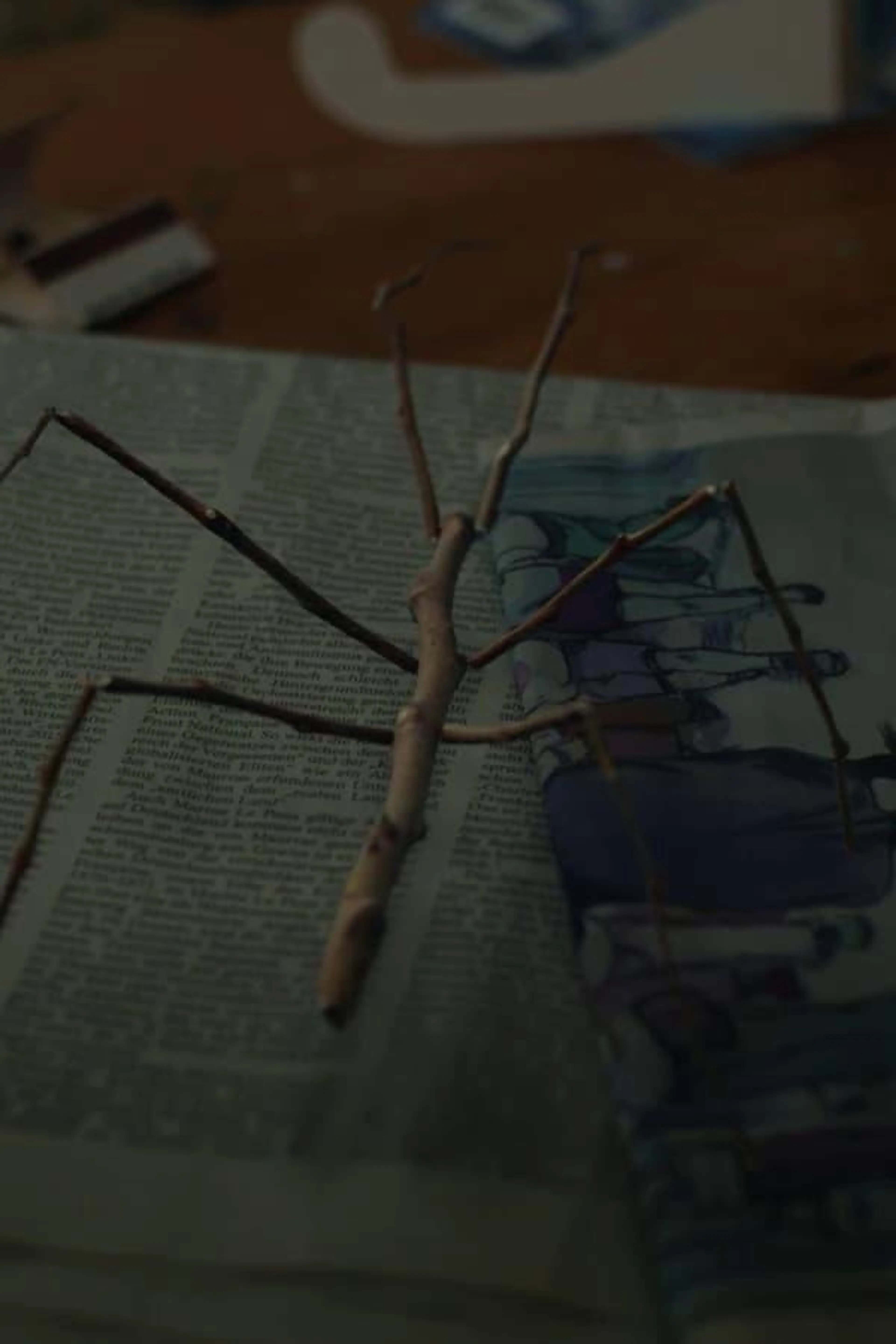 Walking Stick