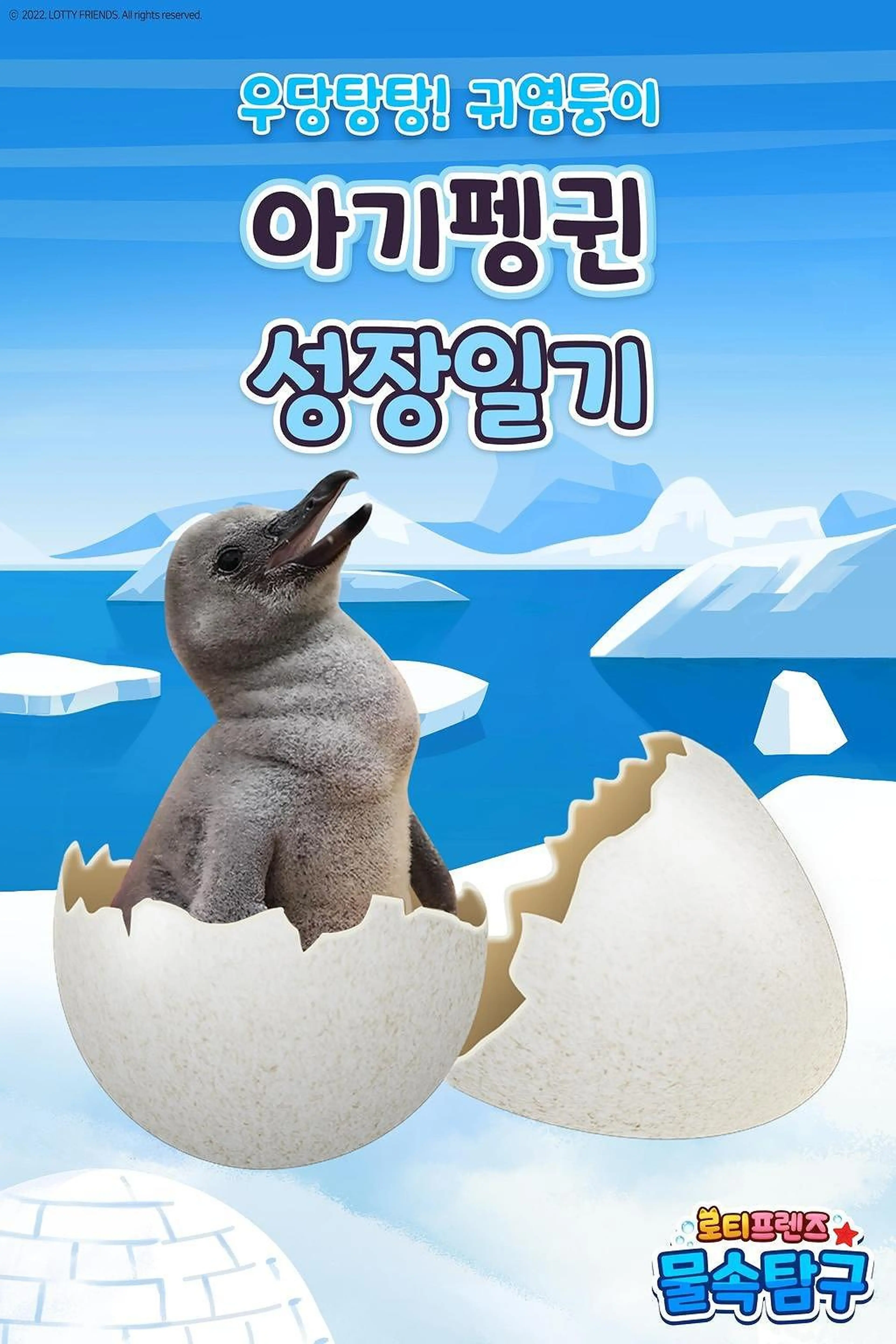로티프렌즈 아기펭귄 성장일기
