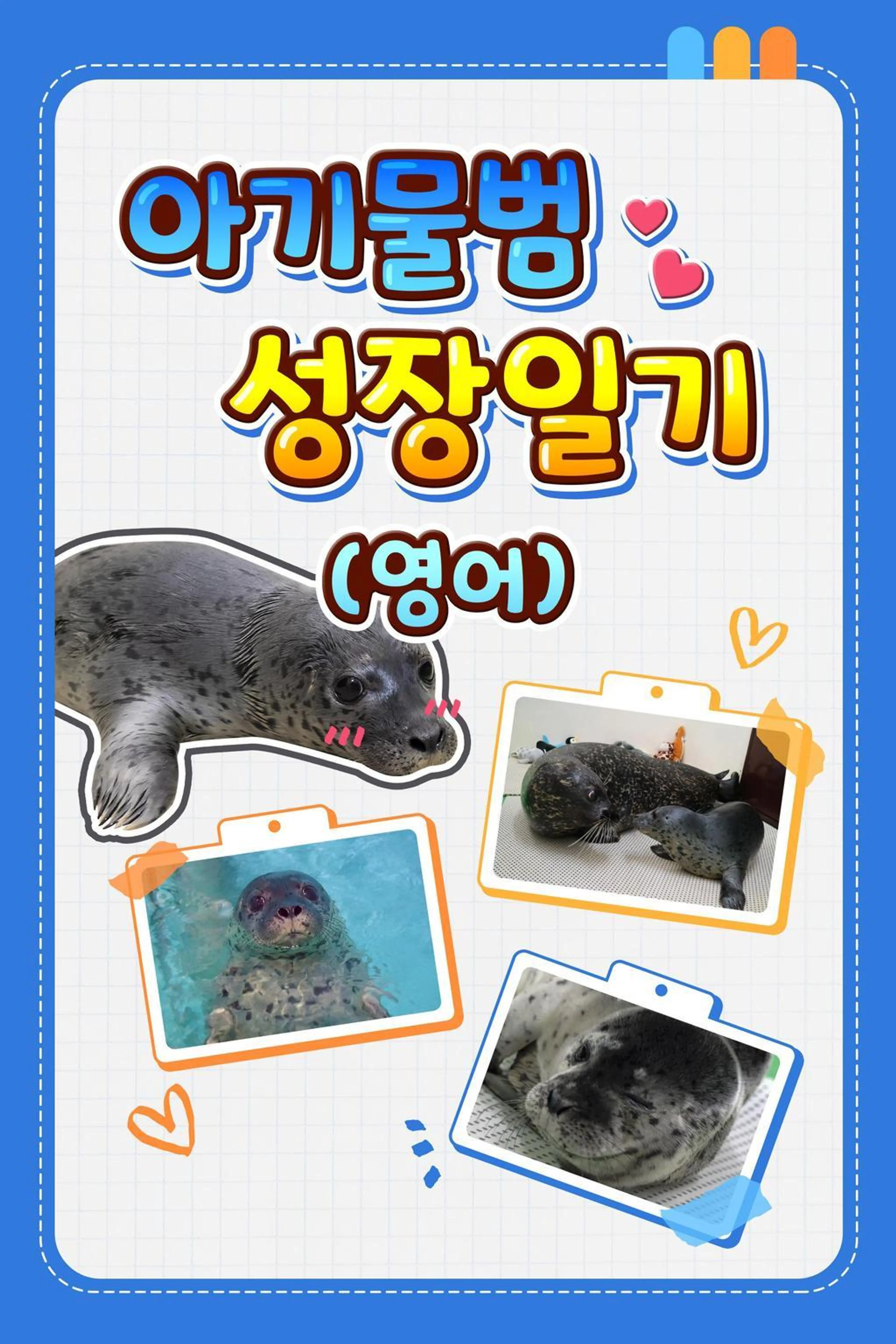 아기물범 성장일기
