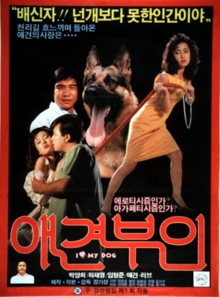 애견부인