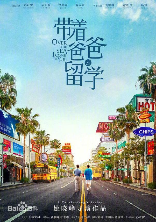 대착파파거유학