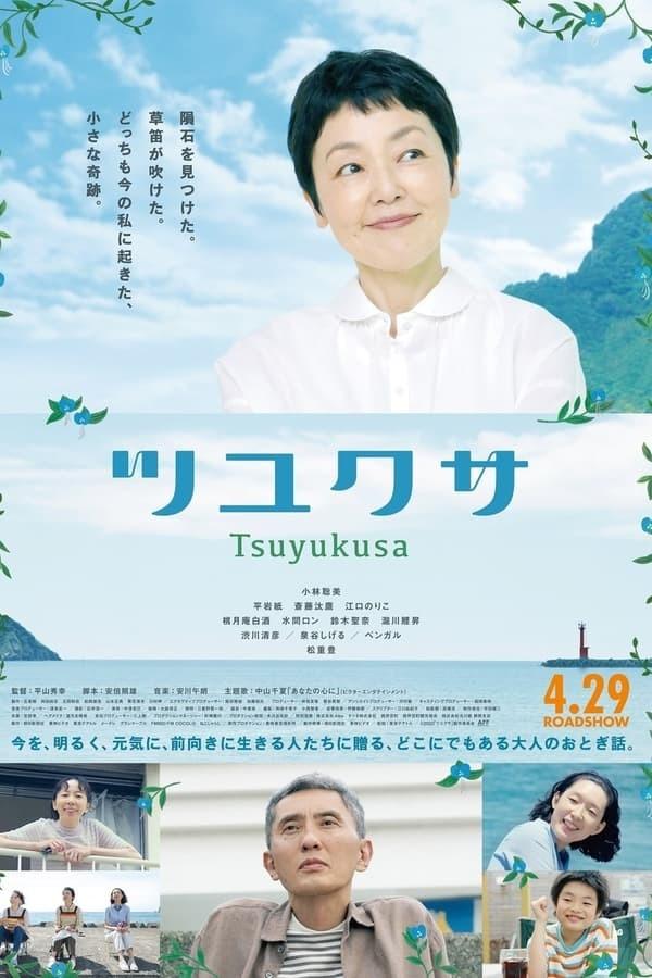 달개비의 계절
