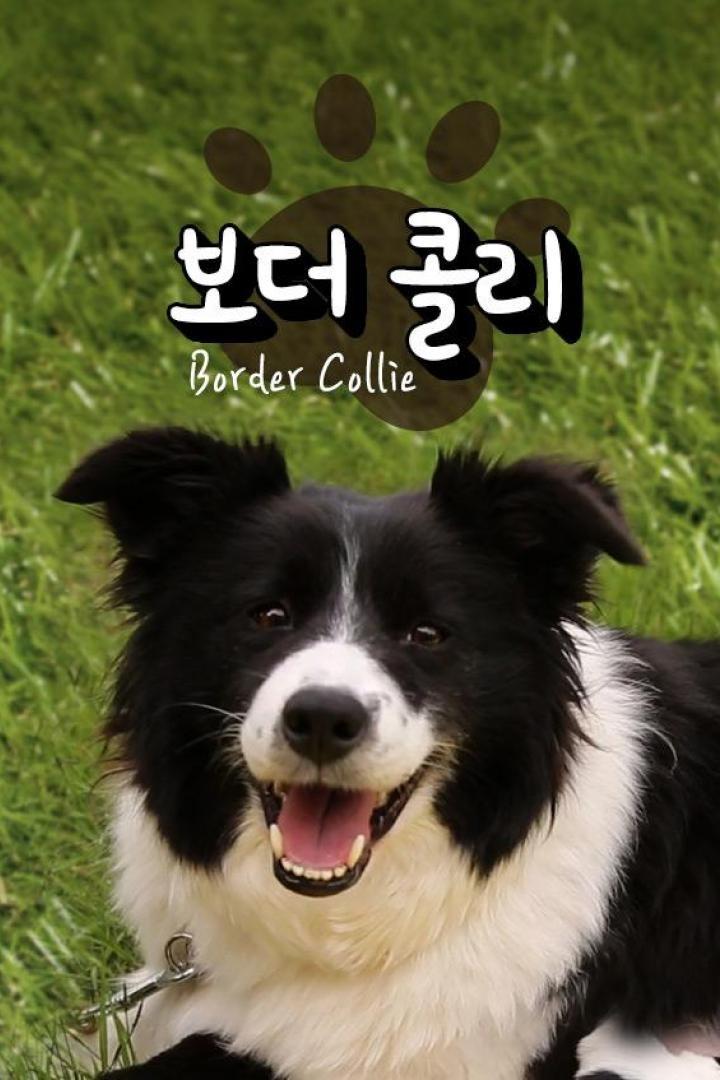 보더 콜리TV