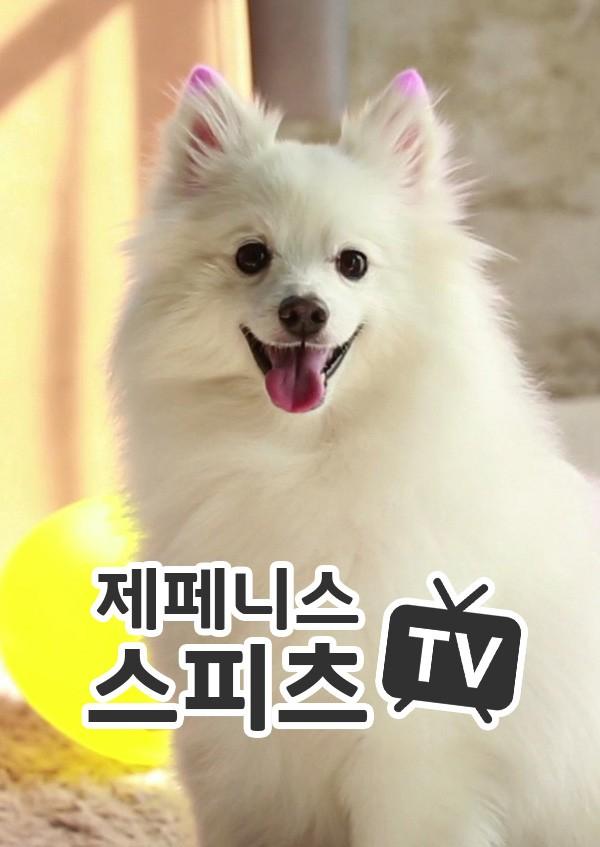 제페니스스피츠TV