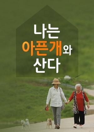 나는 아픈 개와 산다