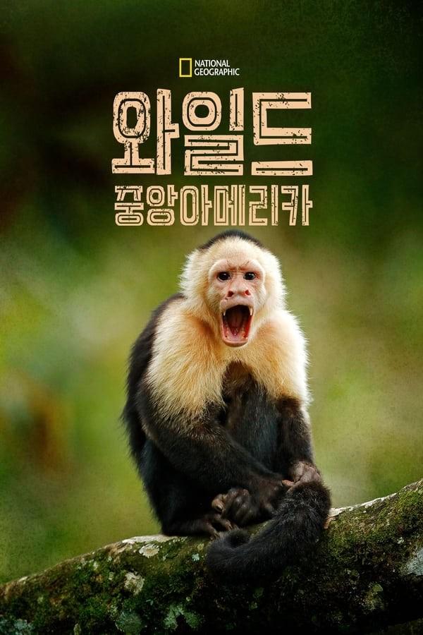 와일드 중앙아메리카 시즌 1