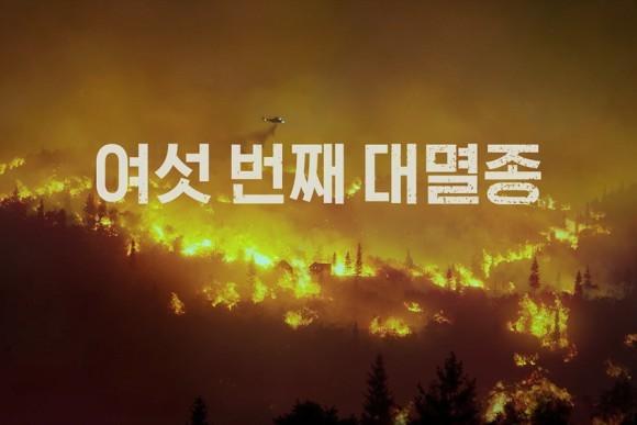다큐프라임 - 여섯 번째 대멸종