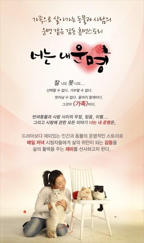 너는 내 운명