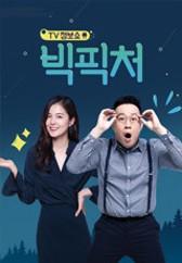 TV정보쇼 빅픽쳐
