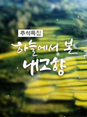 하늘에서 본 내고향