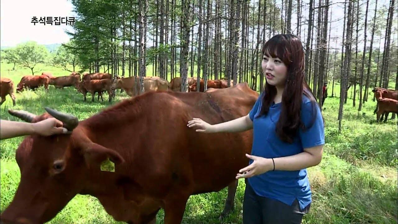추석특집 할머니와 소고기