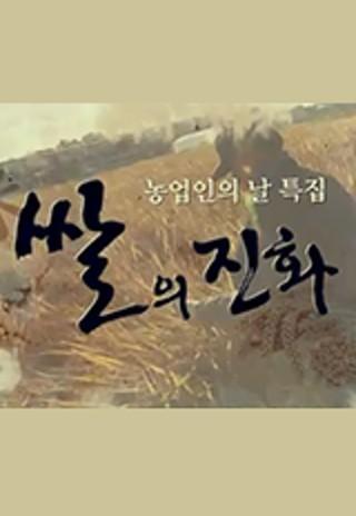 쌀의 진화
