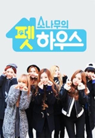 소나무의 펫하우스