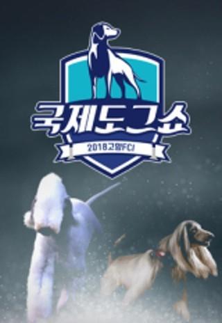 2018 고양 FCI 국제 도그쇼
