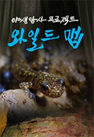 야생탐사 프로젝트 - 와일드맵