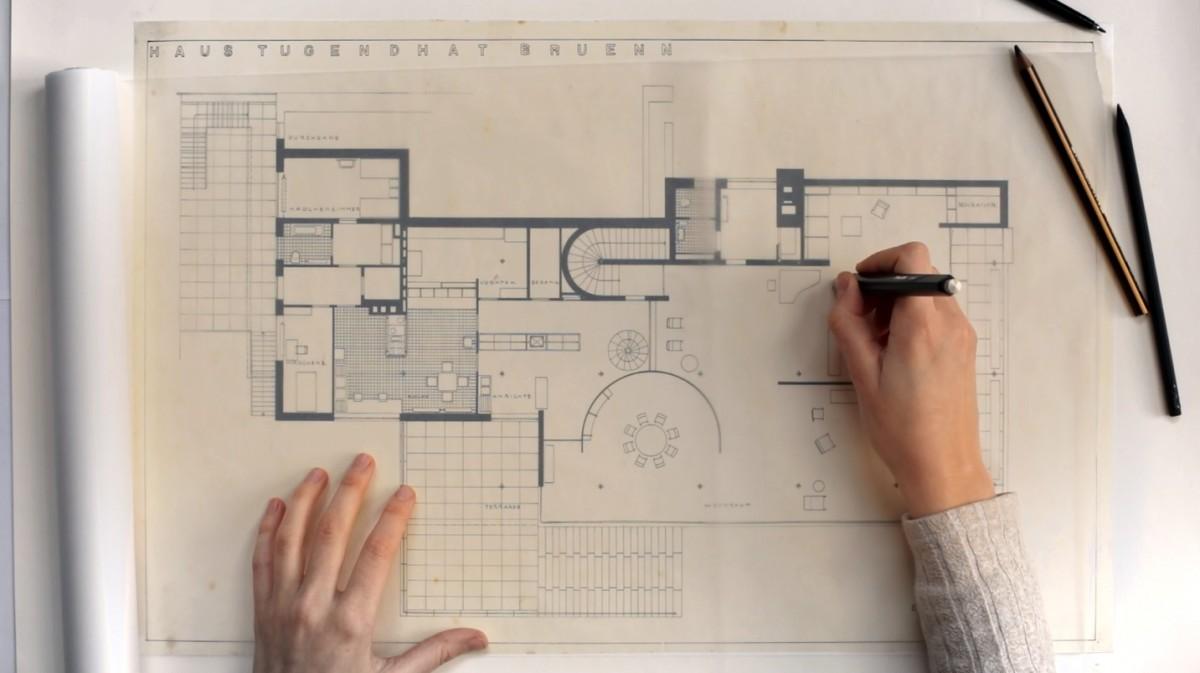 잃어버린 릴리 라이히의 공간
