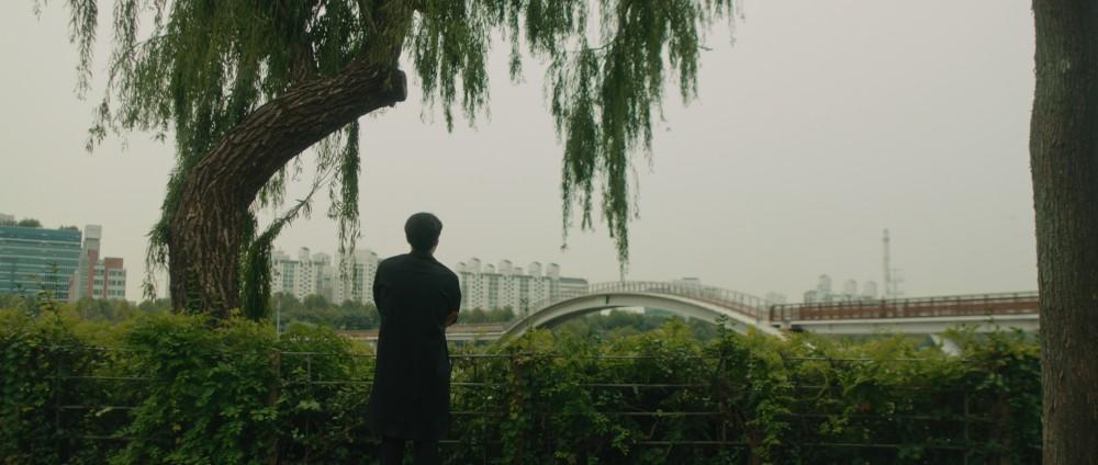 목화토금수