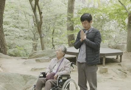 벚나무 아래