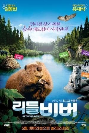 리틀 비버