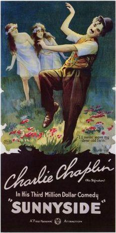 양지 바른 쪽