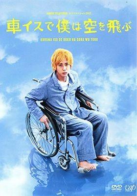 휠체어로 나는 하늘을 난다