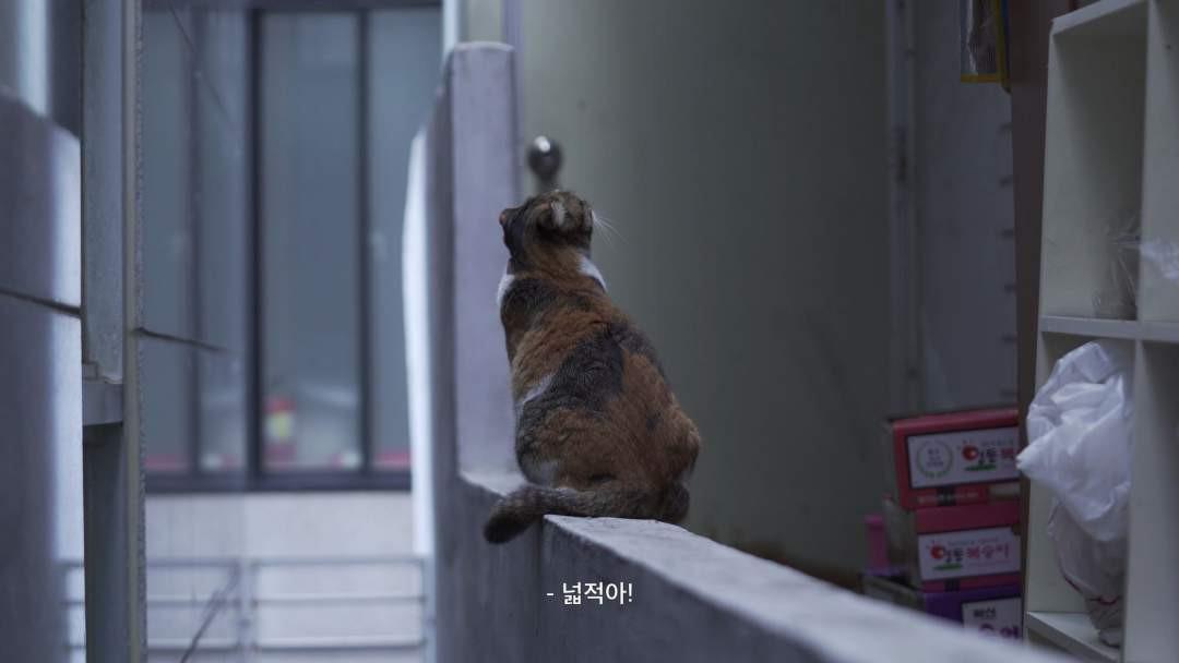 길 위의 집