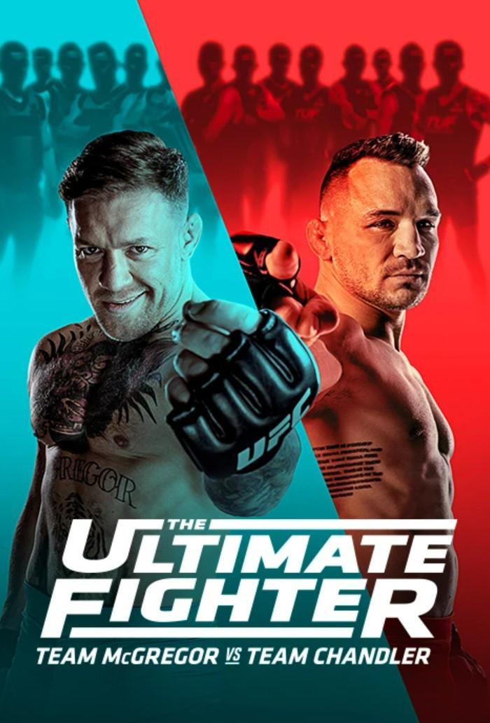 디 얼티밋 파이터 시즌 31