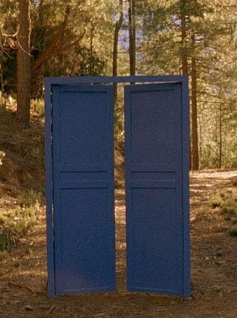 더 블루 도어