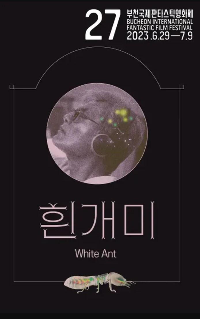 흰개미