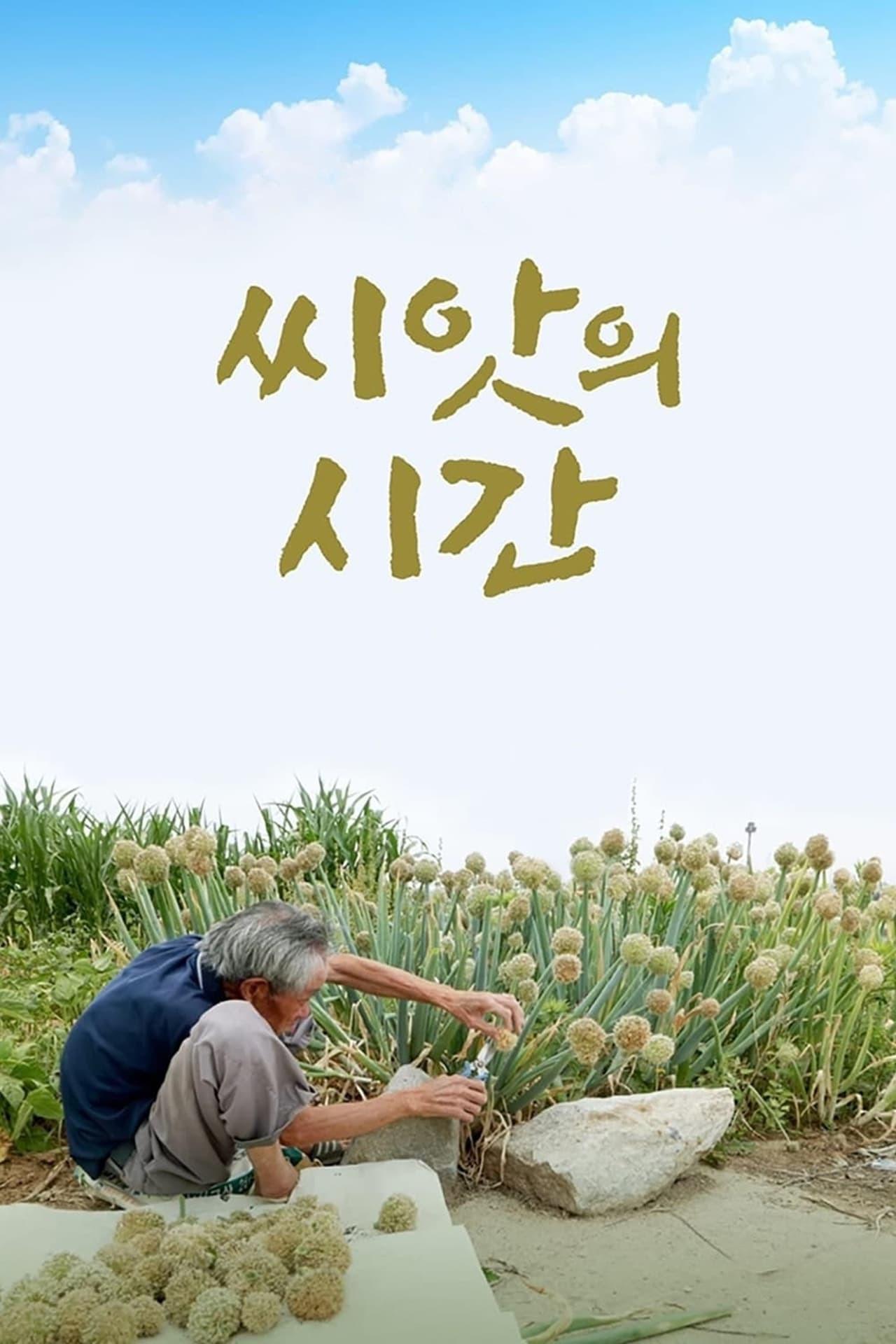 씨앗의 시간