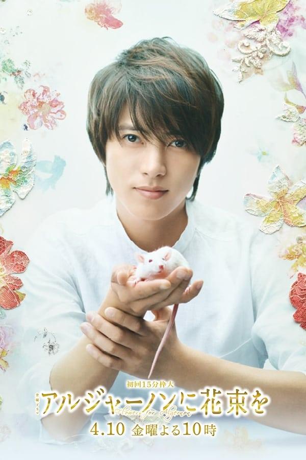 아르제논에게 꽃다발을