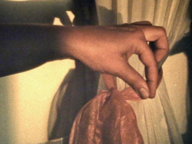 나뭇가지에 거꾸로 매달리기