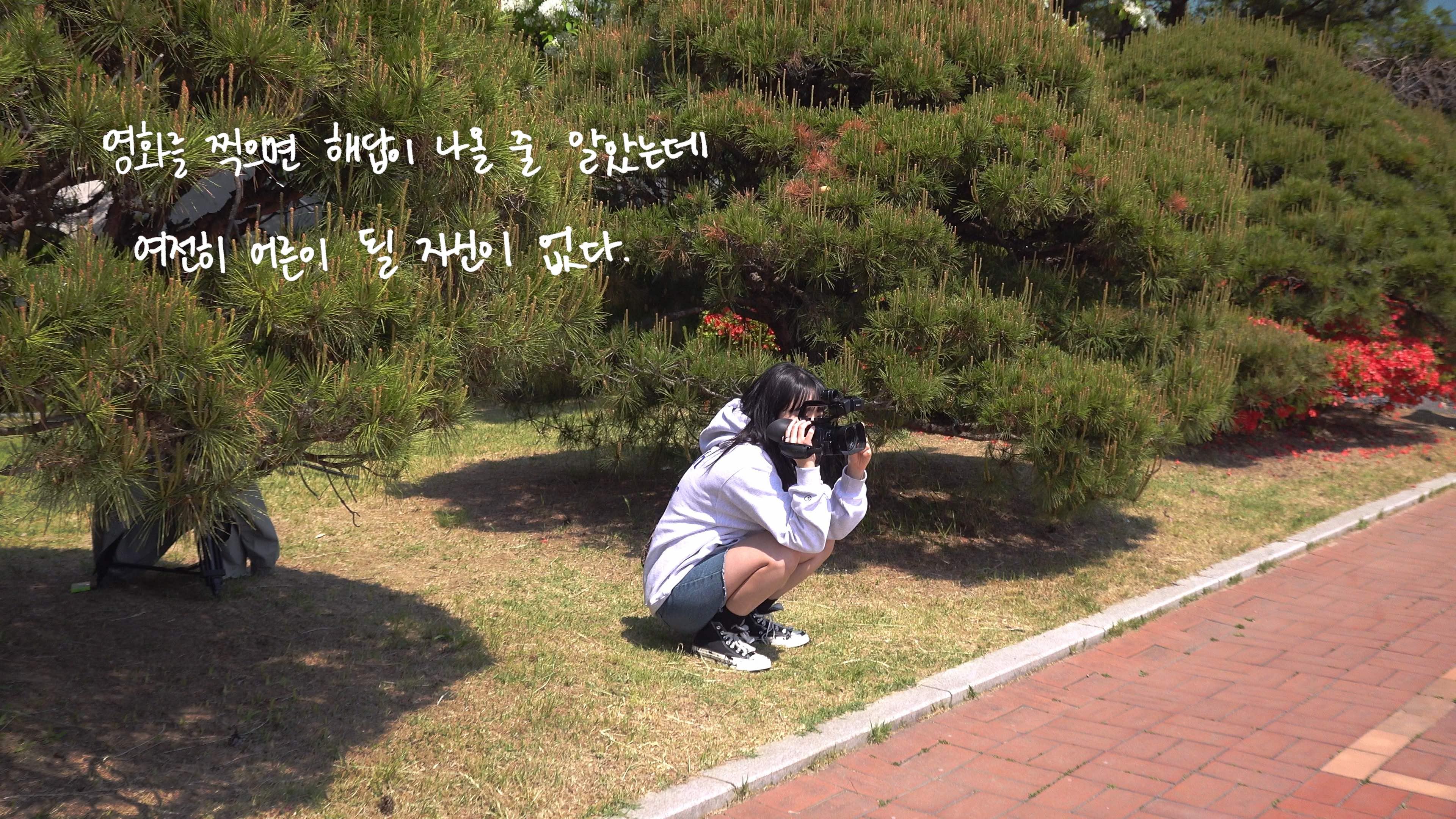 베이비블루