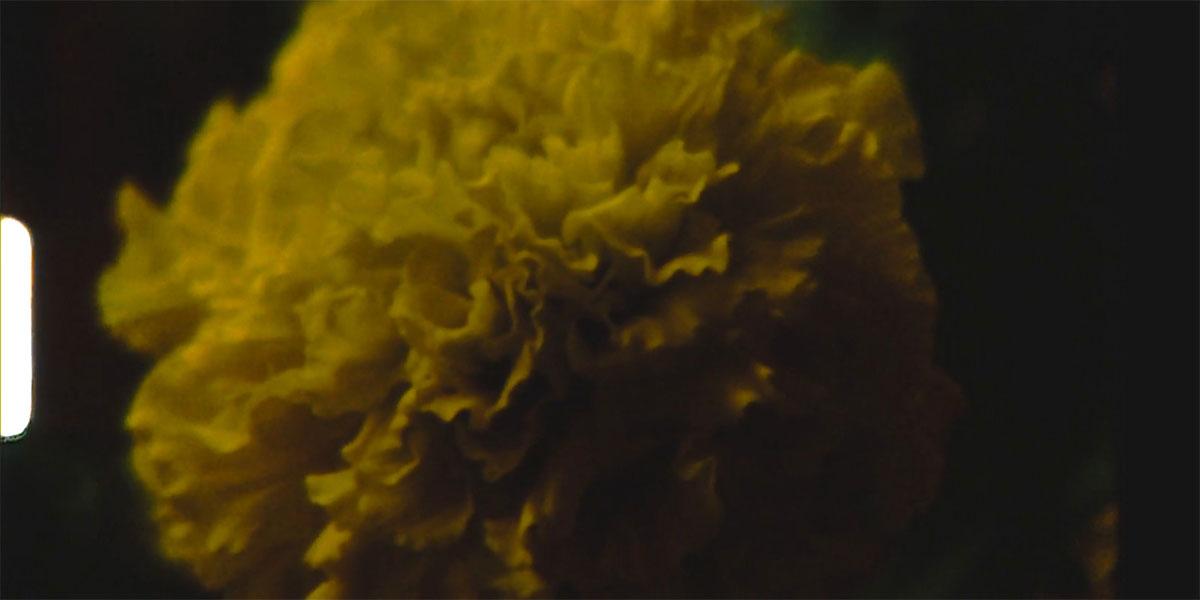 콰이어트 애즈 잇츠 켑트