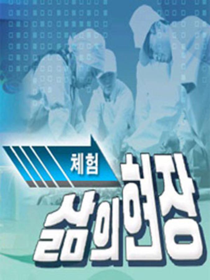 체험 삶의 현장