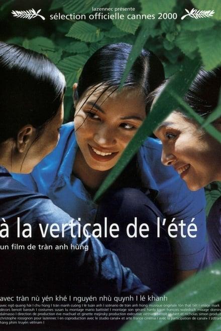 여름의 수직선에서