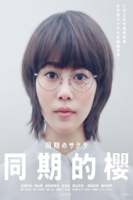 동기의 사쿠라