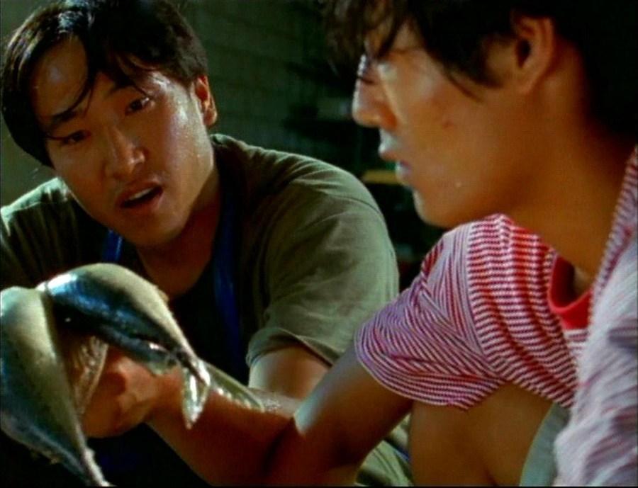 자반 고등어