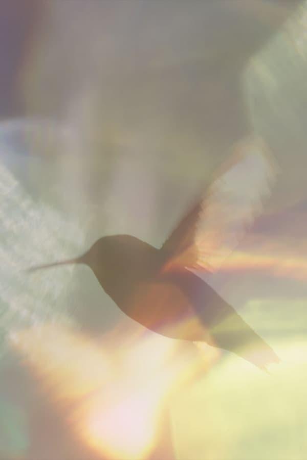 에브리 리틀 띵