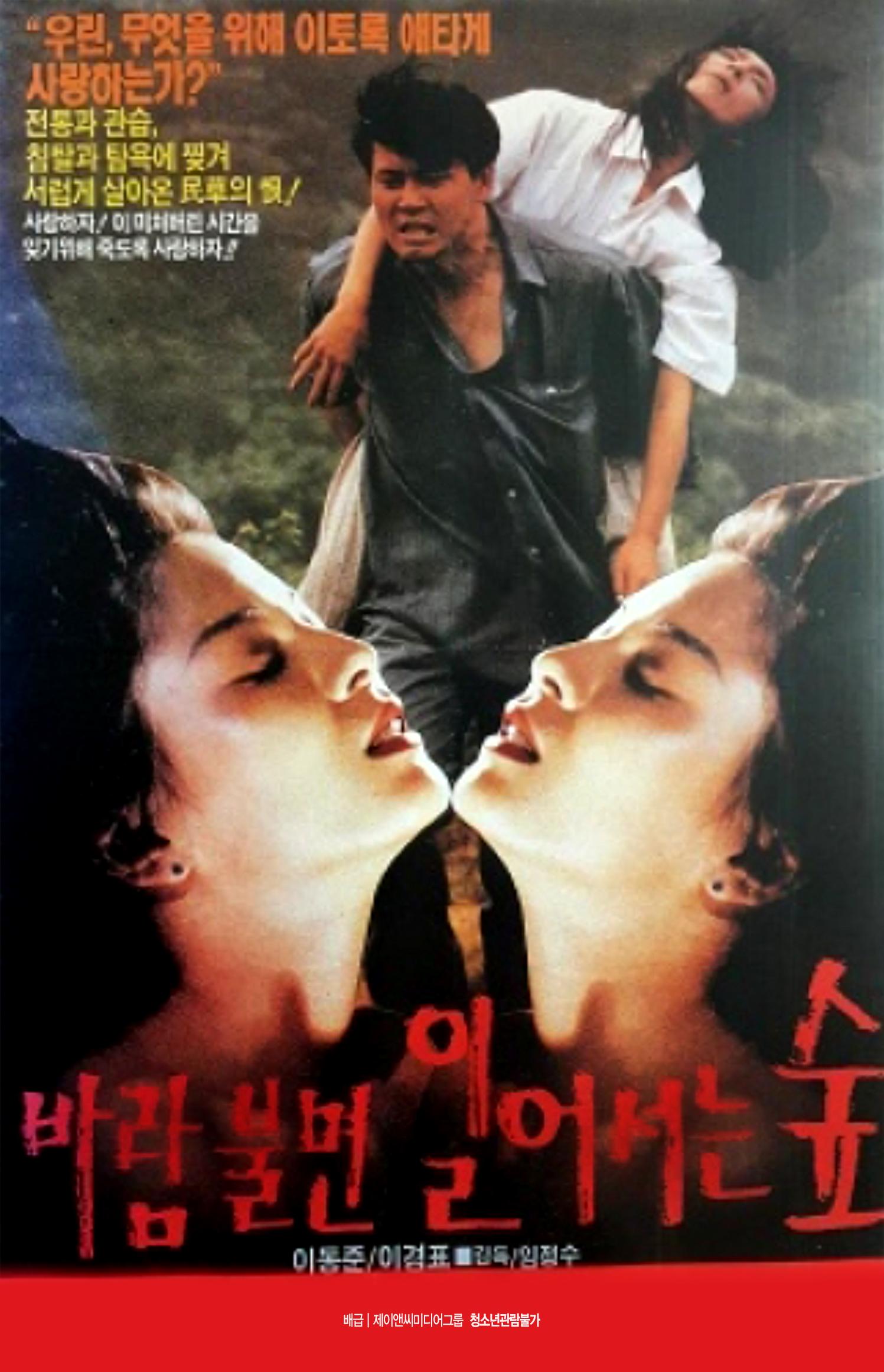 바람불면 일어서는 숲