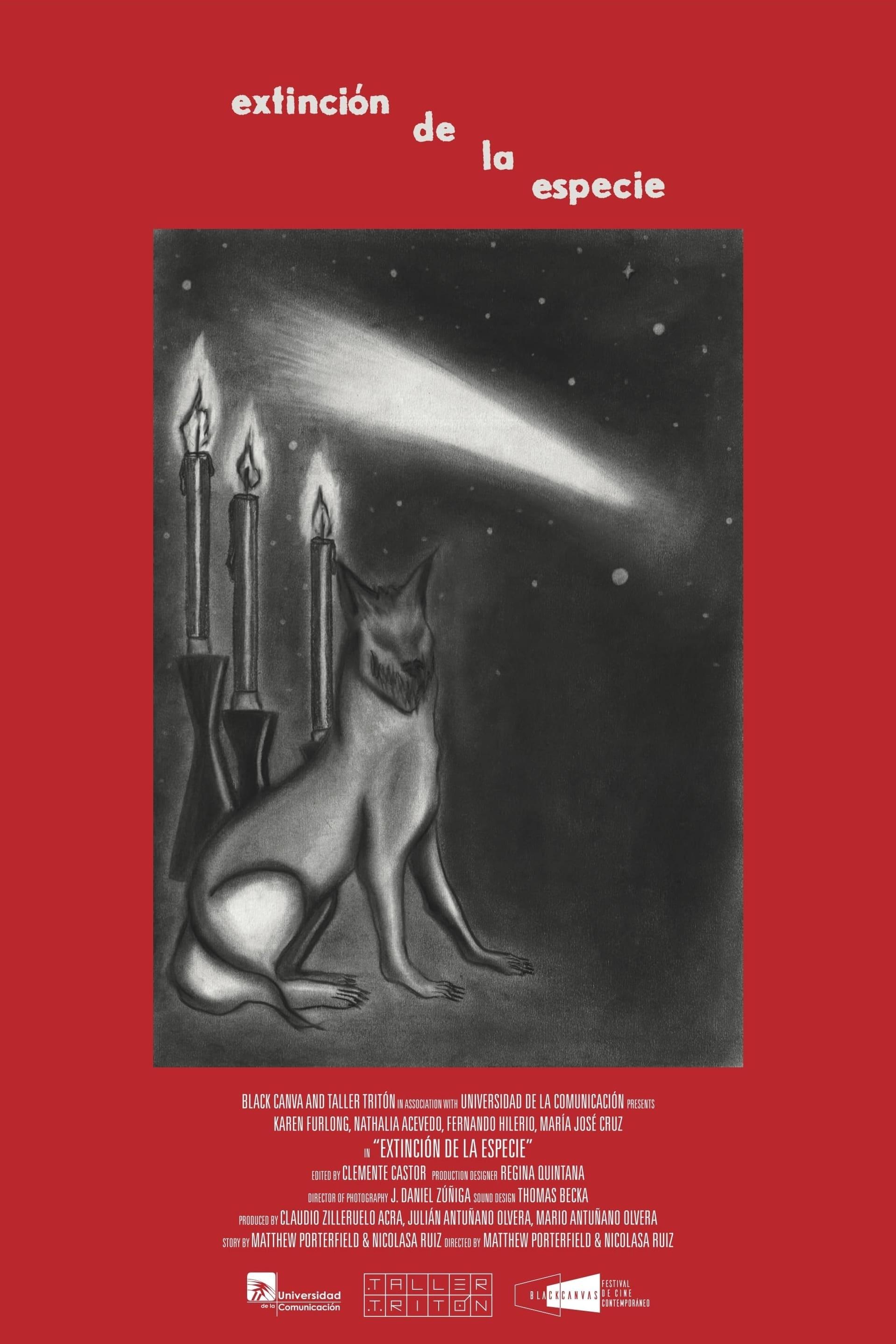 익스팅크션 어브 더 스피쉬즈