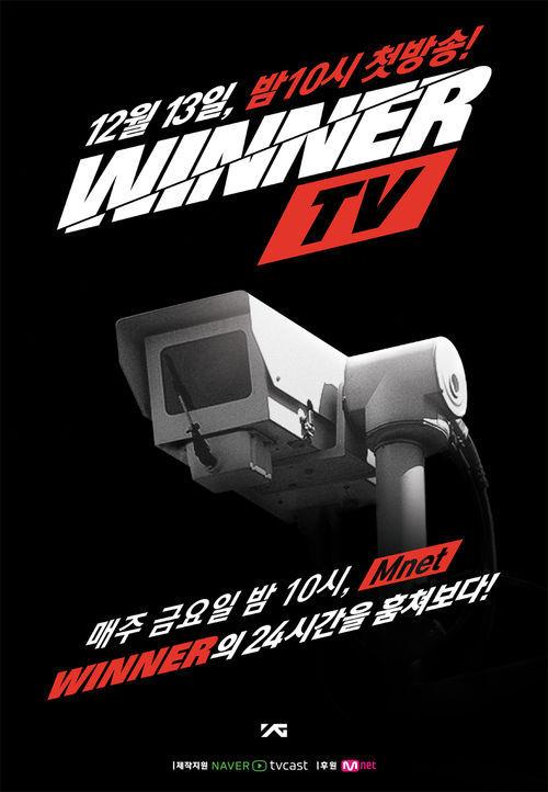 위너 티비