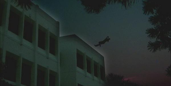 밤은 그들만의 시간