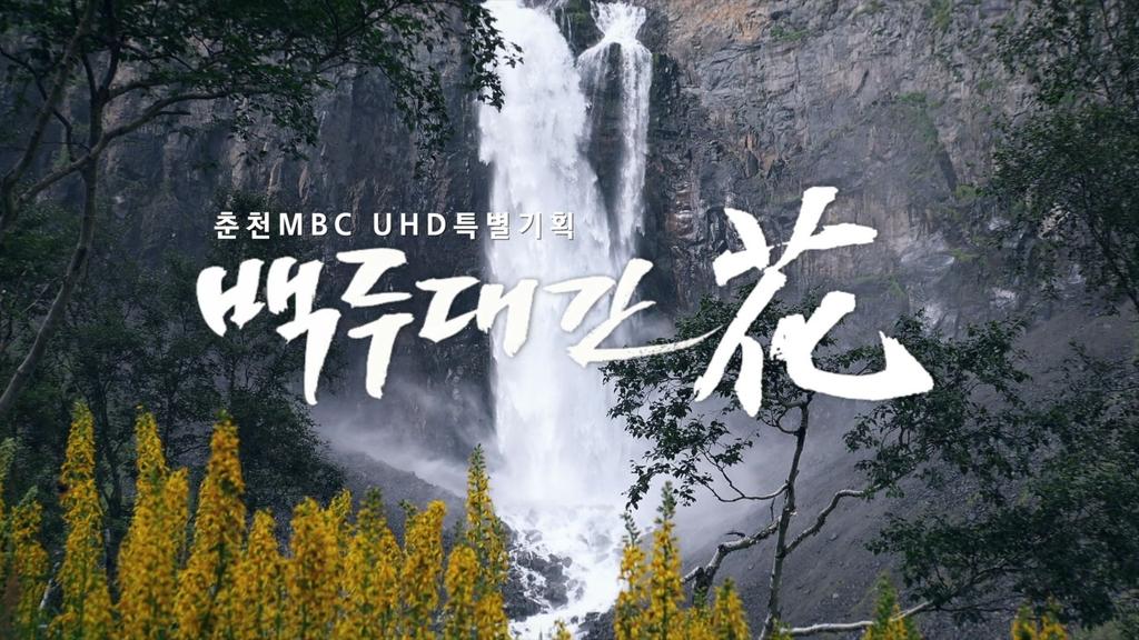 백두대간花