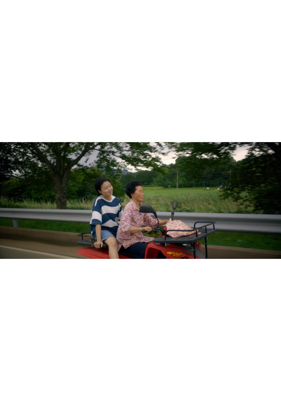 영아의 섬