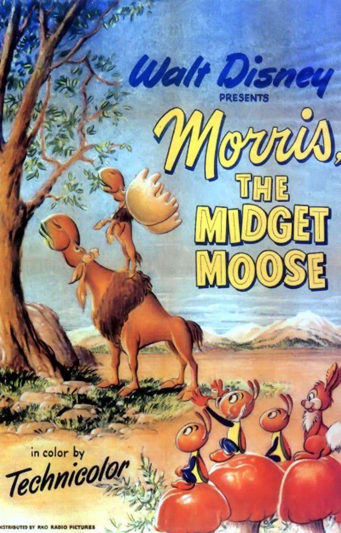 모리스 더 미짓 무스